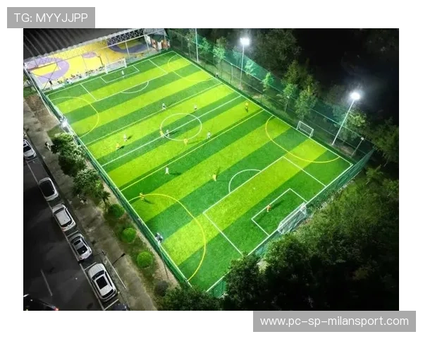 “足球场地建设提速，为全民运动提供硬件保障”，足球场的建设