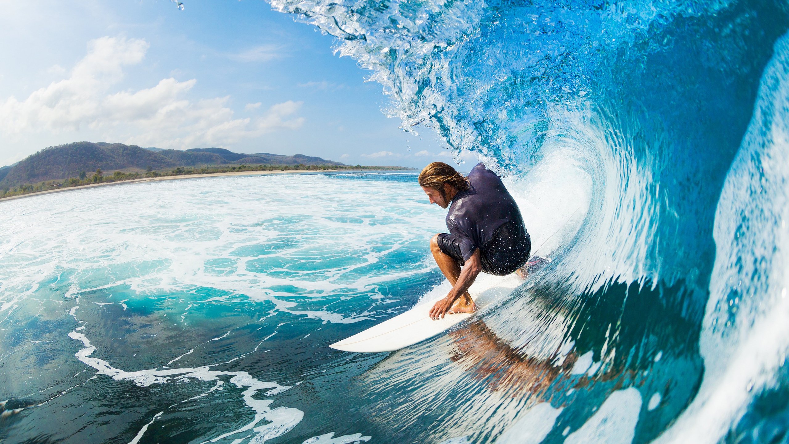 体育明星年度总结